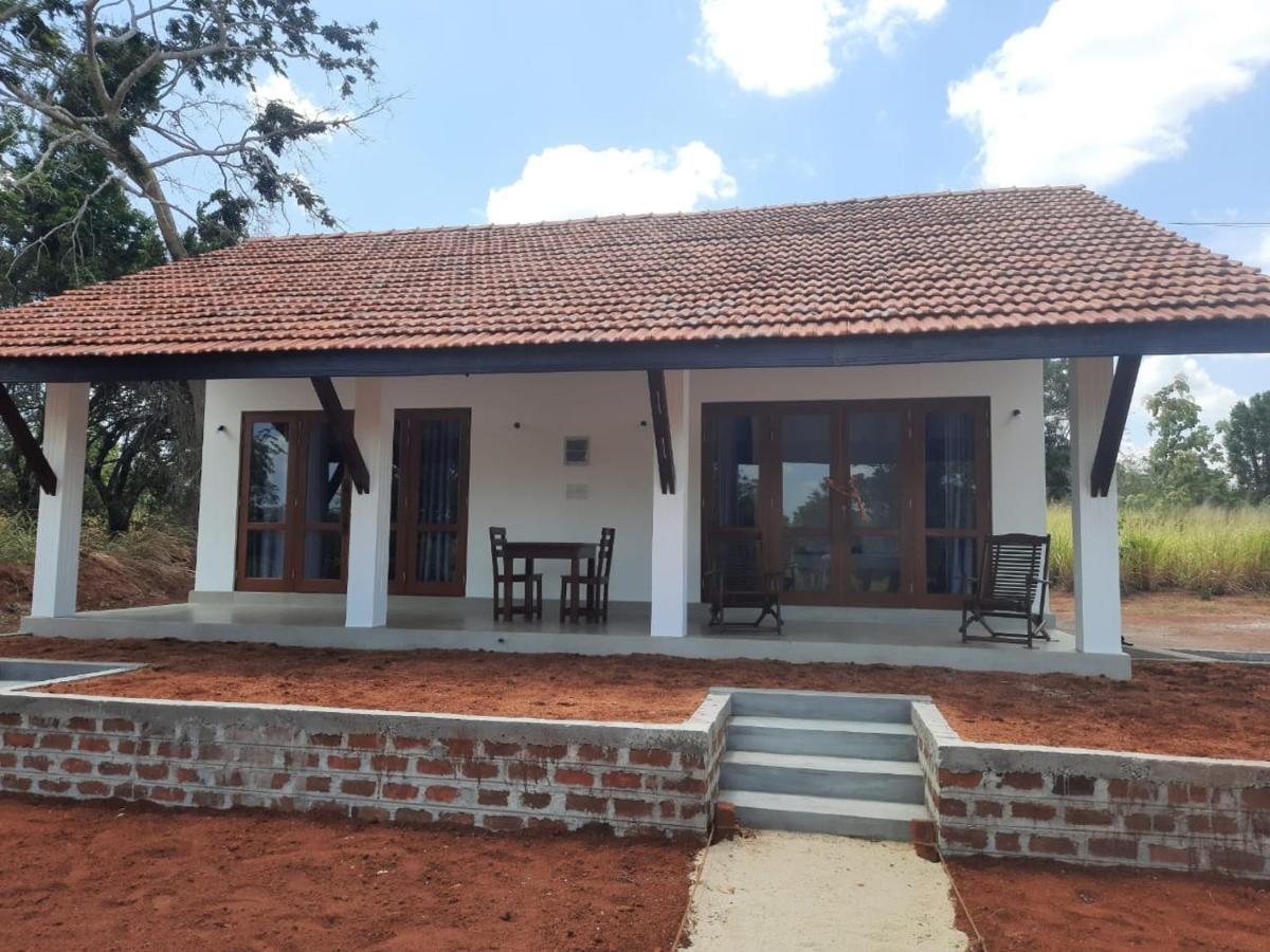 Moni Farm House Wilpattu Nochchiyagama Exteriér fotografie