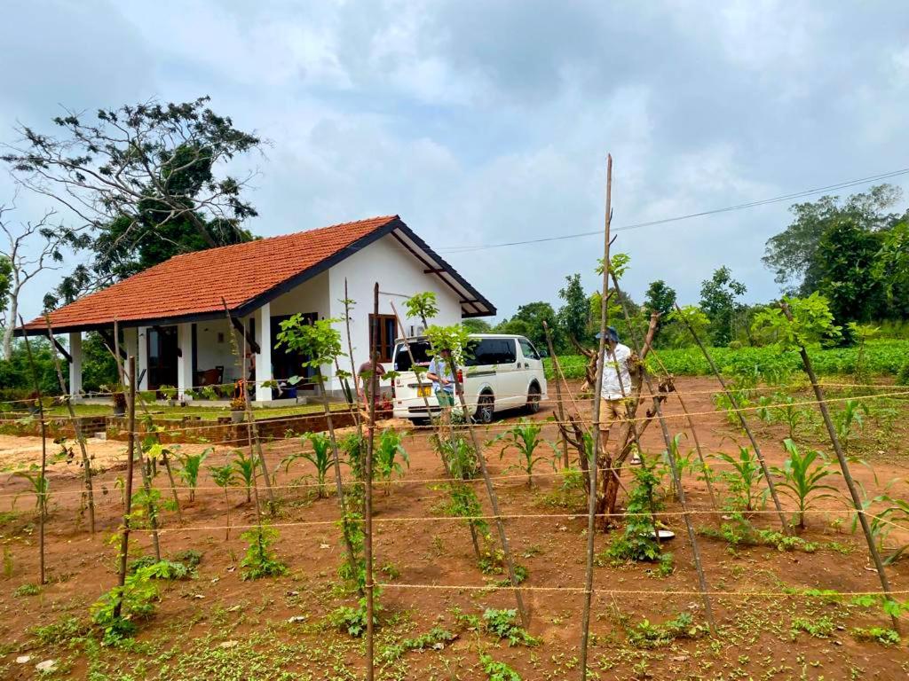 Moni Farm House Wilpattu Nochchiyagama Exteriér fotografie