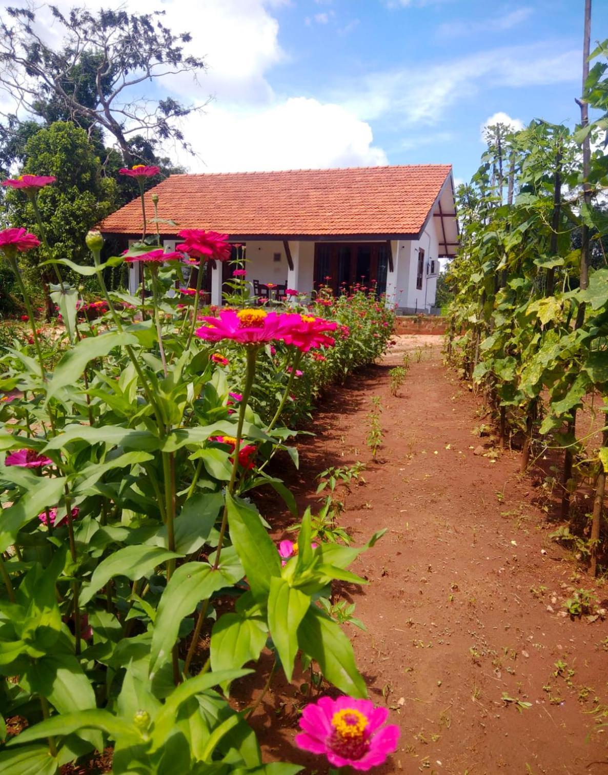 Moni Farm House Wilpattu Nochchiyagama Exteriér fotografie