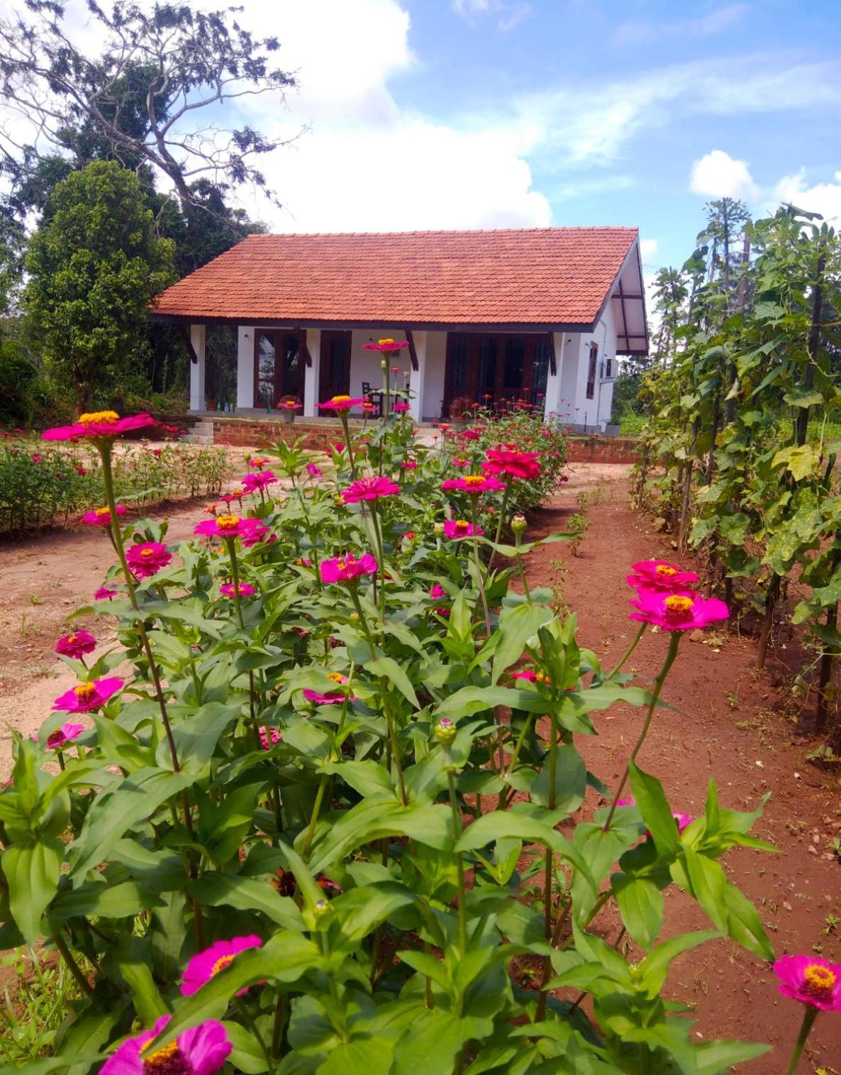 Moni Farm House Wilpattu Nochchiyagama Exteriér fotografie