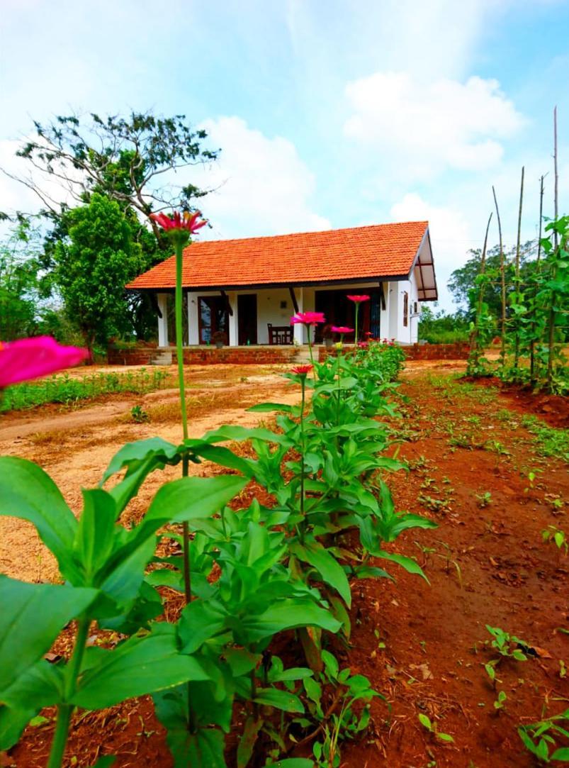 Moni Farm House Wilpattu Nochchiyagama Exteriér fotografie