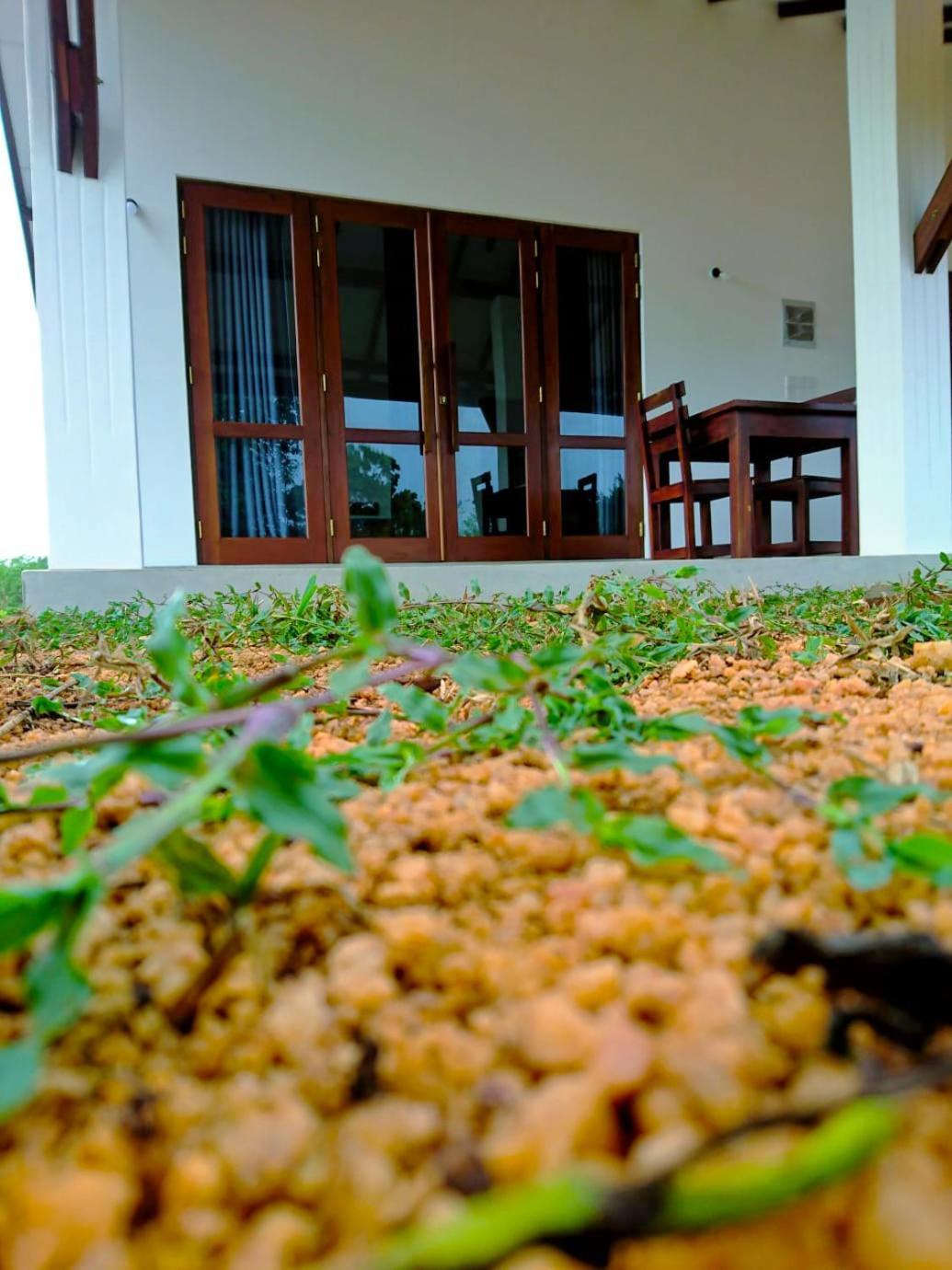 Moni Farm House Wilpattu Nochchiyagama Exteriér fotografie